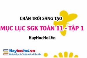 Mục lục SGK Toán 11 tập 1 Chân trời sáng tạo - Lý thuyết và bài tập Toán 11 tập 1 Chân trời sáng tạo